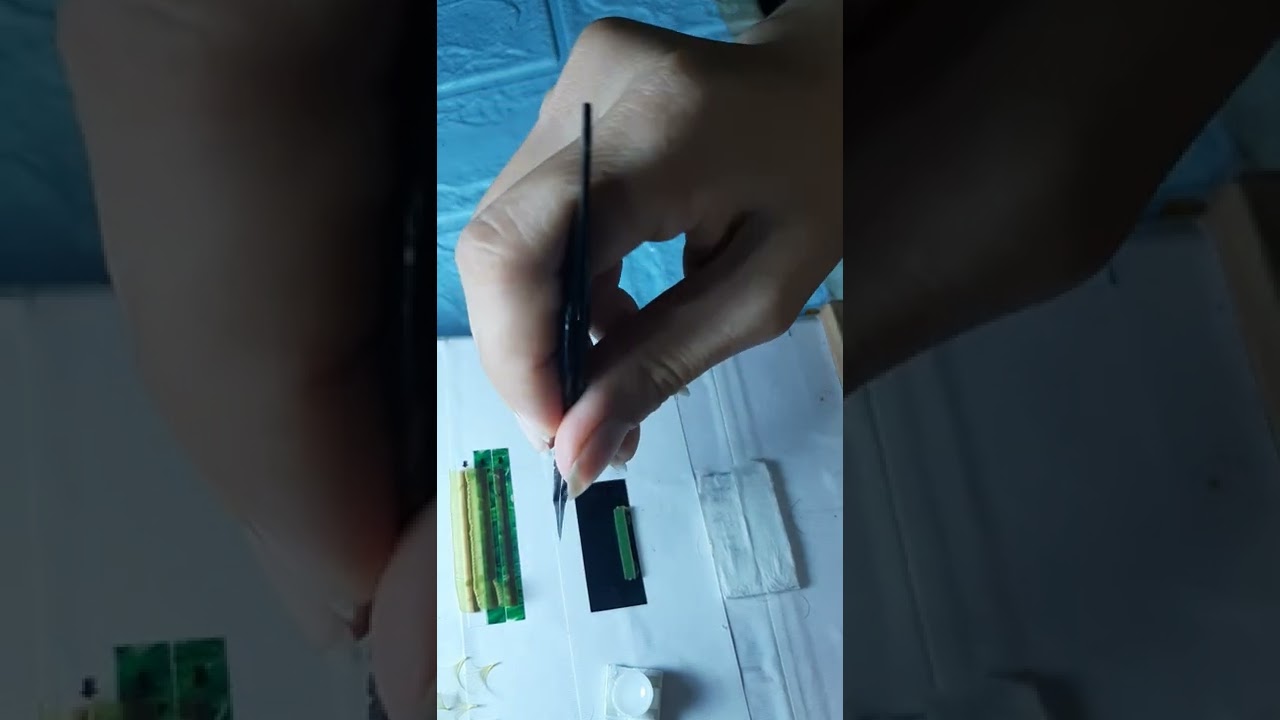 Cách Cầm Nhíp Dành Cho Các Bạn Mới Học Làm Fan Tay .
