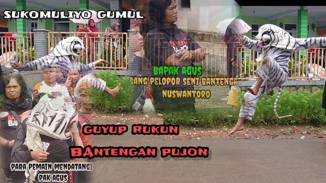 Bantengan pujon guyup rukun di desa sukomuliyo gumul |pencak silat lailatul sallam