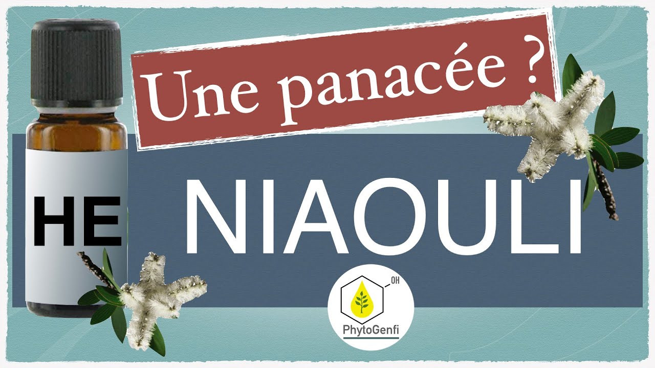 L'huile essentielle de niaouli est-elle une panacée de l'aromathérapie ?