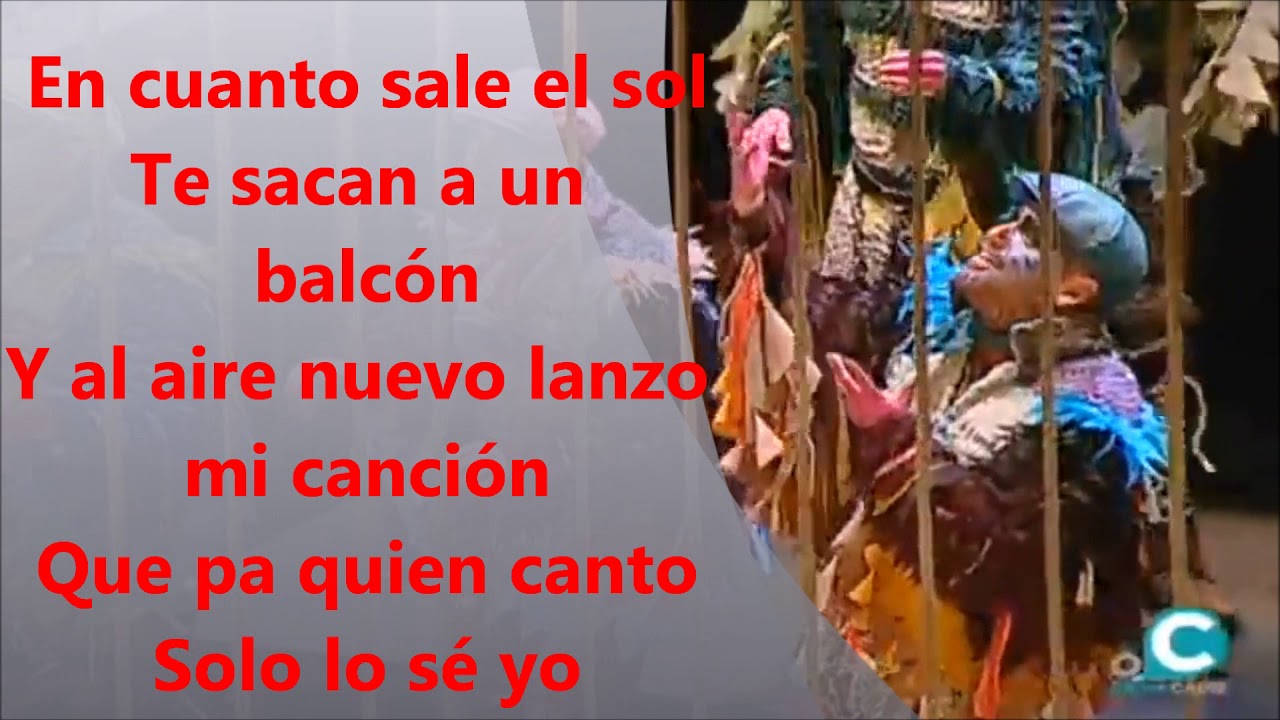 Presentación 