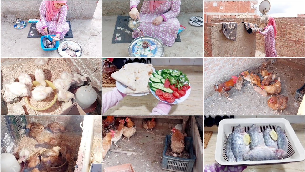 روتينى فوق سطح بيتى🏡روتين النشاط والطاقه الايجابيه💪خليكى ست صبوره وارضى بماكتبه الله لكى🤲ربك كريم🫶❤️