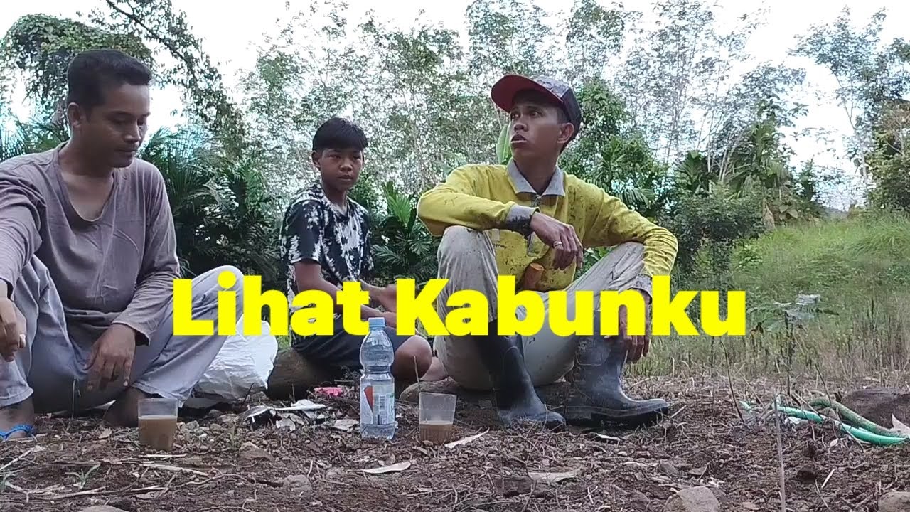 Lihat Kabunku 🤣 Penuh Dengan|| BALALAH 