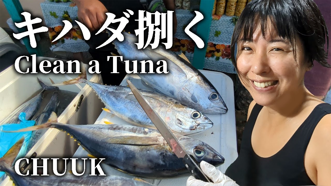 初挑戦！キハダマグロを解体するぞ！！ Clean A Tuna For The First Time【 ミクロネシア チューク Chuuk Micronesia 】