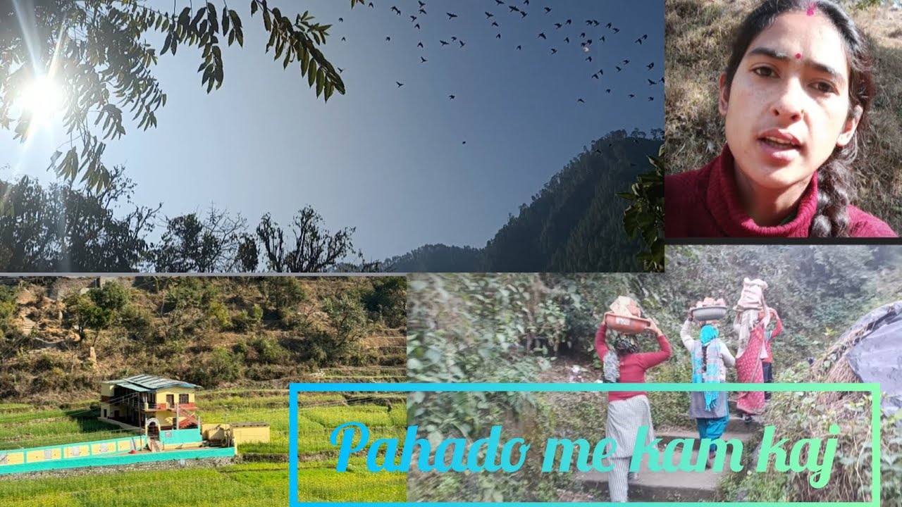 New video👉गाँव घरों🏕में मिलजुल कर कैसे करते हैं काम🥰 #gaau #villagelifestyle #video@tanujagariya1806
