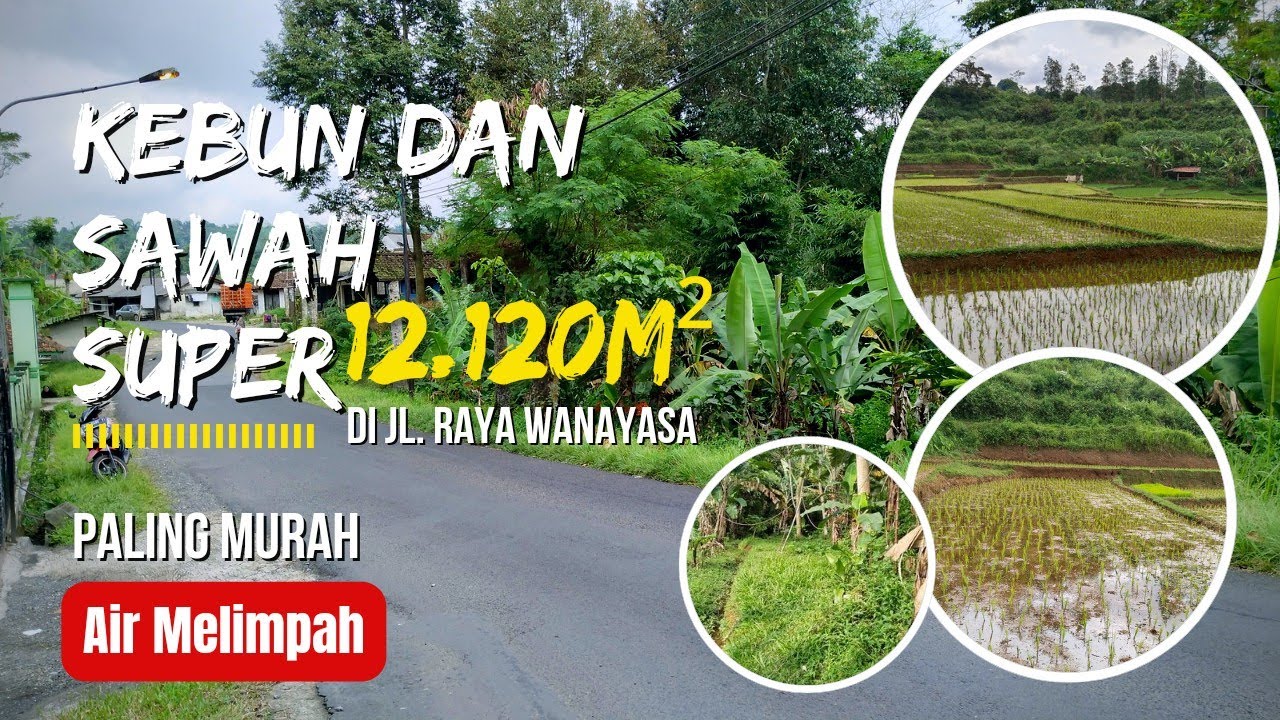 TERJUAL || KEBUN DAN SAWAH DI JL. RAYA WANAYASA PURWAKARTA.
