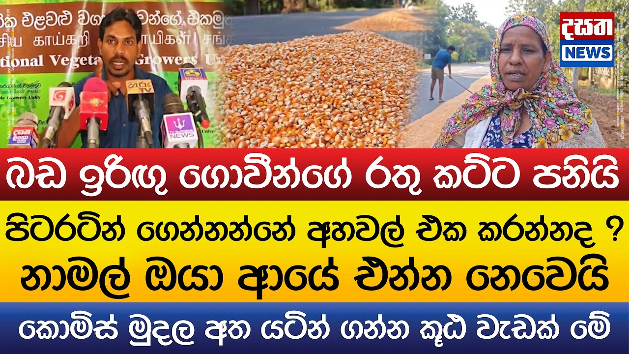 බඩ ඉරිඟු ගොවීන්ගේ රතු කට්ට පනියි..නාමල් ඔයා ආයේ එන්න නෙවෙයි..කොමිස් ගන්න කූඨ වැඩක් මේ