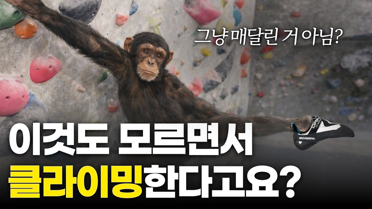 이것도 모르면서 클라이밍 한다고요? 그냥 매달리지마세요