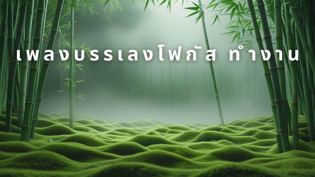 เพลงบรรเลงฟังเพลินตอนค่ำ 🌙 | ดนตรีเบา ๆ ช่วยคลายความเหนื่อยล้า