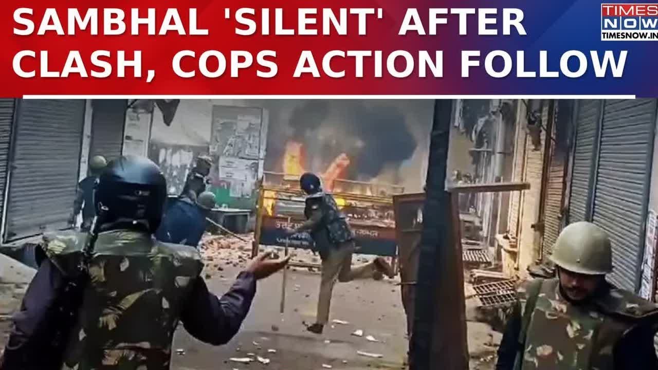 Sambhal Unrest: UP Police Detain 20+, More Action Follow | Why Protest Against Court-Ordered Survey?