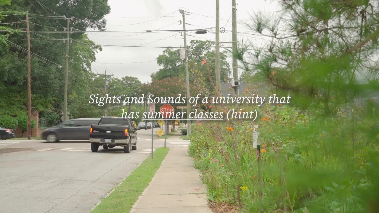 Sights and Sounds Summer Courses.mp4
