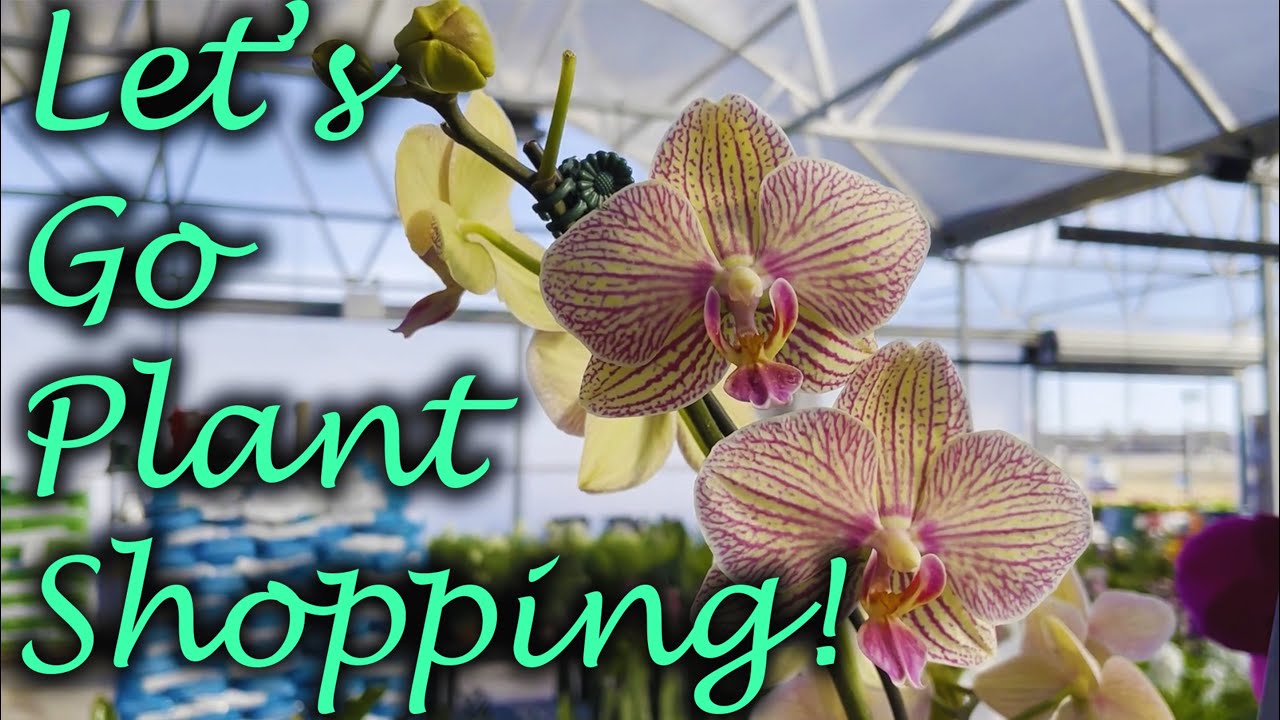 Common & Uncommon Plant Finds at Cornelius Nursery | Relaxing Plant Shopping in SW Houston, TX