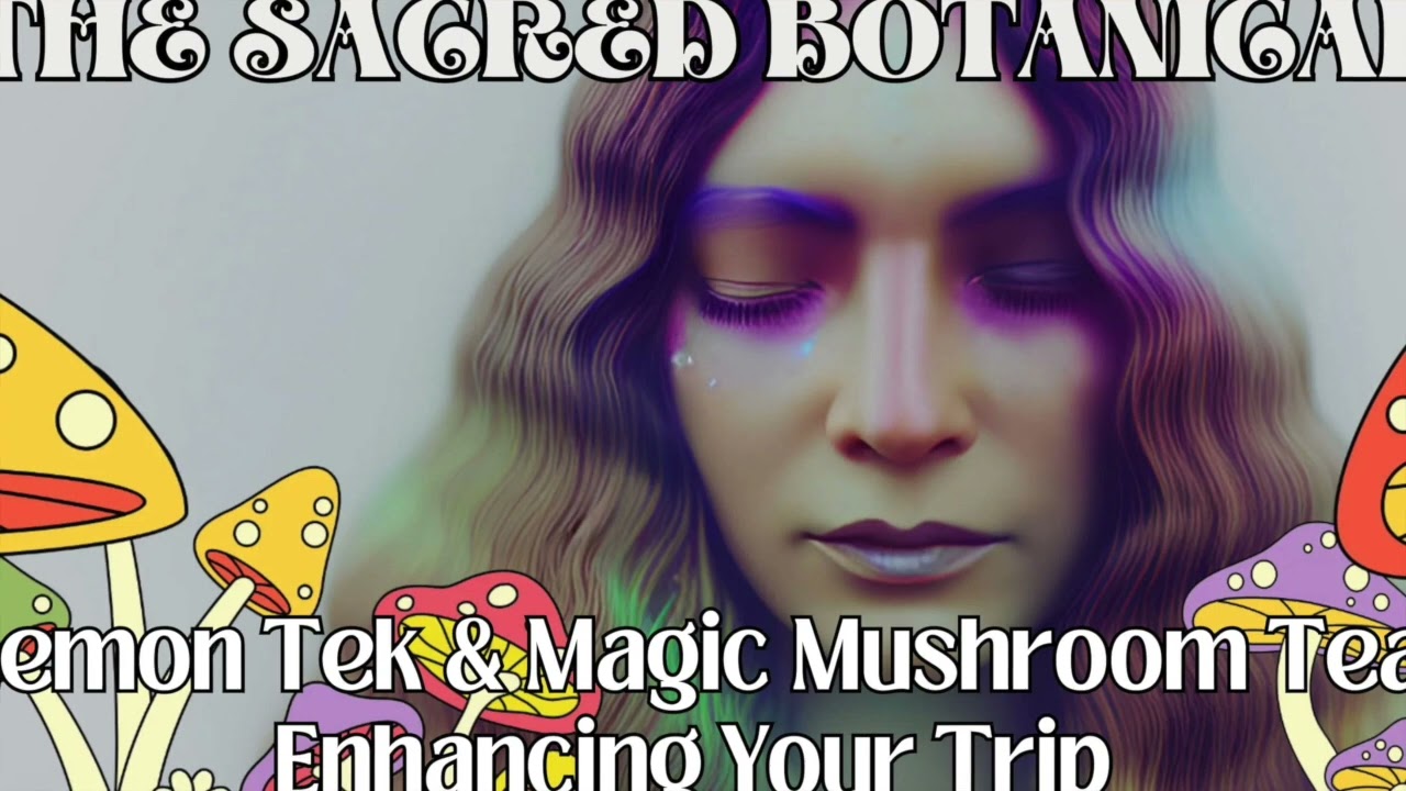 Lemon Tek & Magic Mushroom Tea, Enhancing Your Trip 🍋🍄