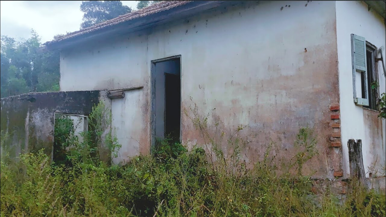 RETORNO DA CASA MALIGNA NINGUÉM ENTRA NESSA CASA OBJETO SÃO AREMESSADO 
