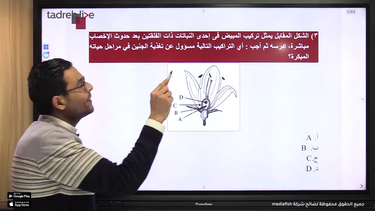 ورشة الثكاثر المحاضرة الاولي
