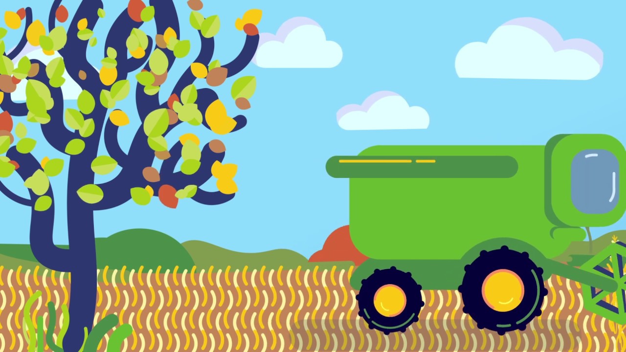 Roundup&reg; - Jesień zastosowanie na ściernisku
