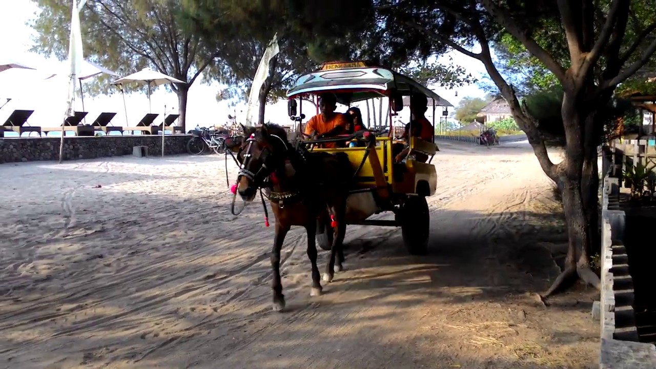 Cidomo Transport on the Gili Trawangan Island