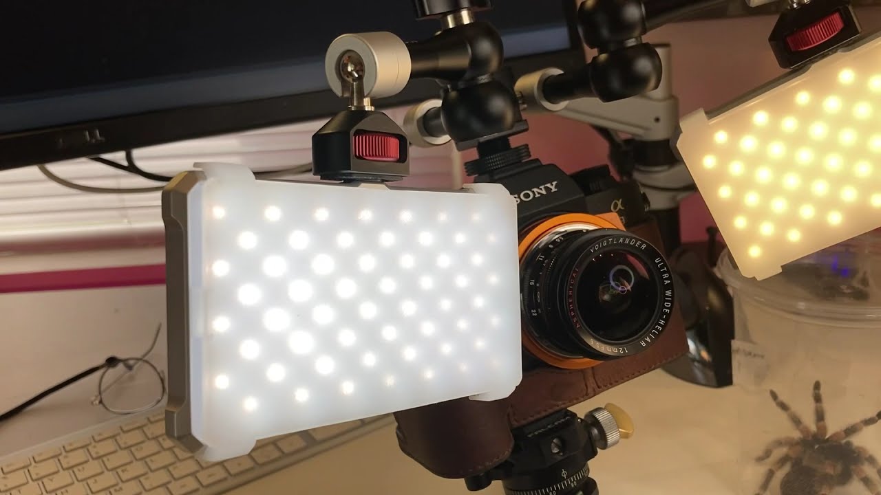 Wide-angle macro rig