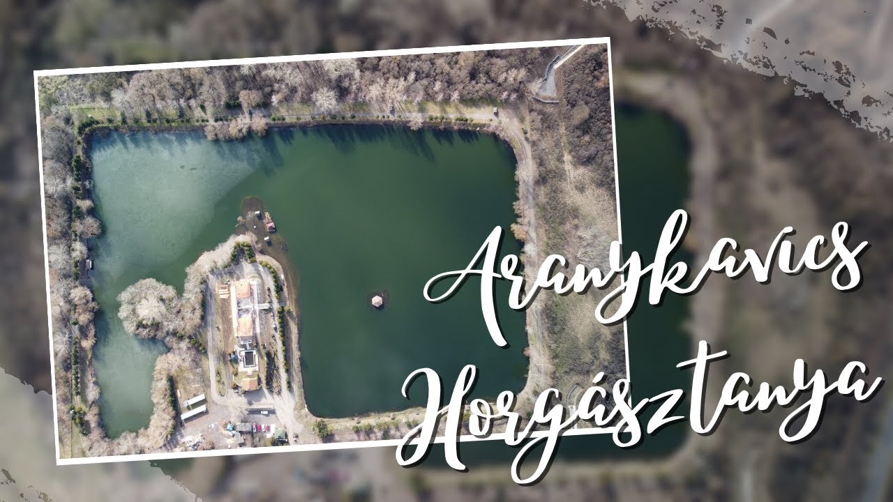 Aranykavics Horgásztanya
