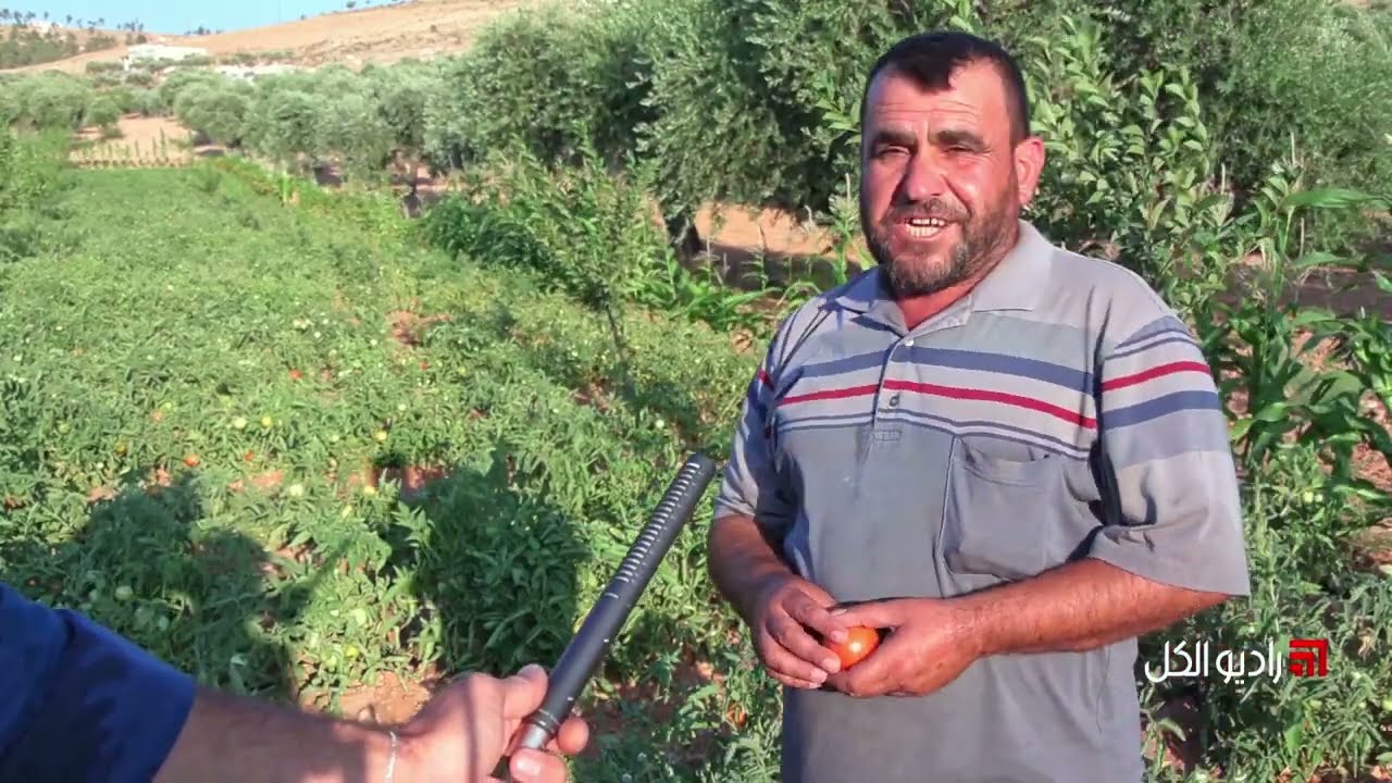 مكب النفايات في قرية مصيبين يلحق الضرر بالمحاصيل الزراعية