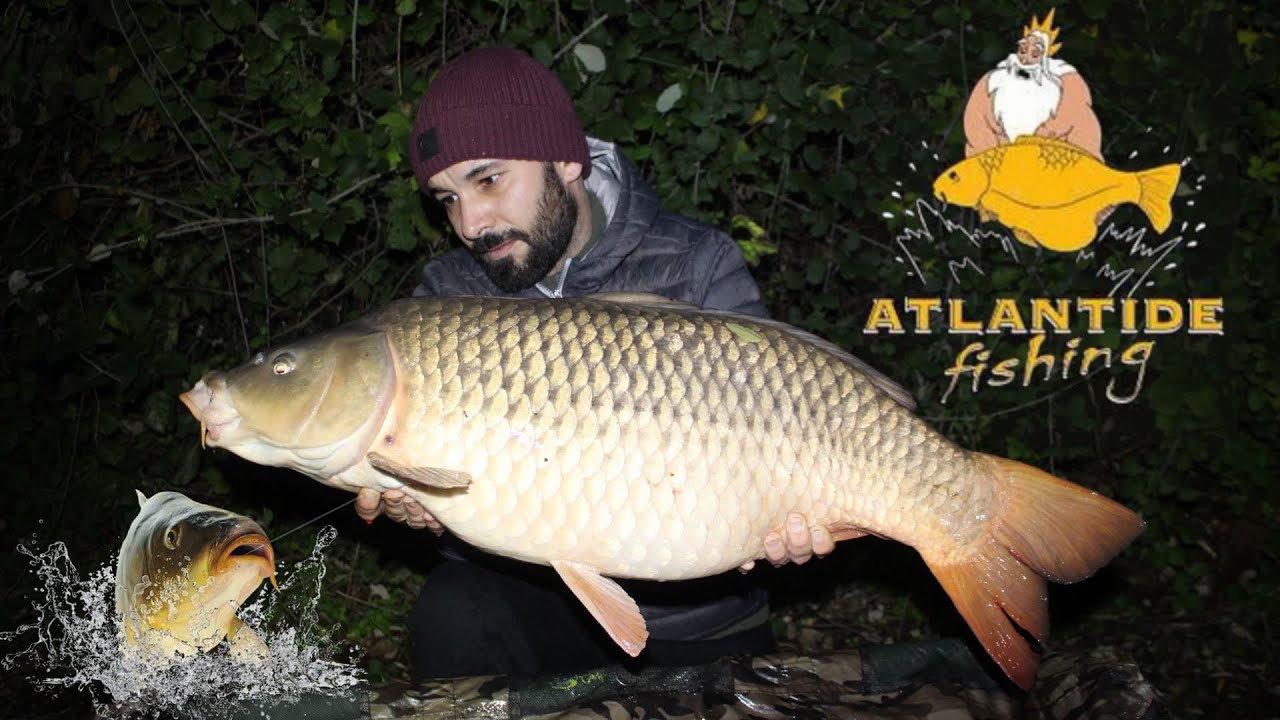 Session goo: IL VIAGGIO ATLANTICO!