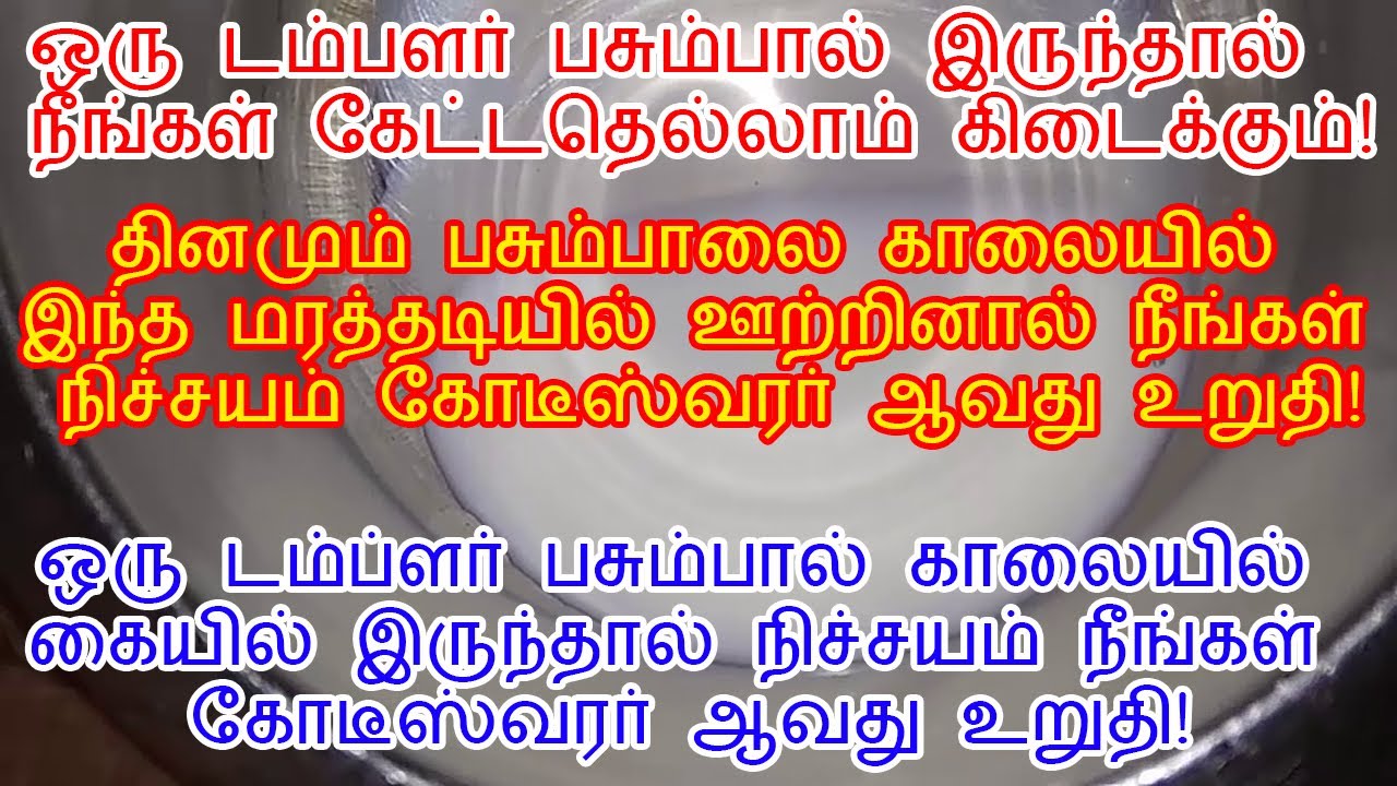 ஒரு டம்ளர் பசும்பால் காலையில் கிடைத்தால் உங்களிடம் கோடிகோடியாய் பணம் சேரும்!|panam peruga pariharam