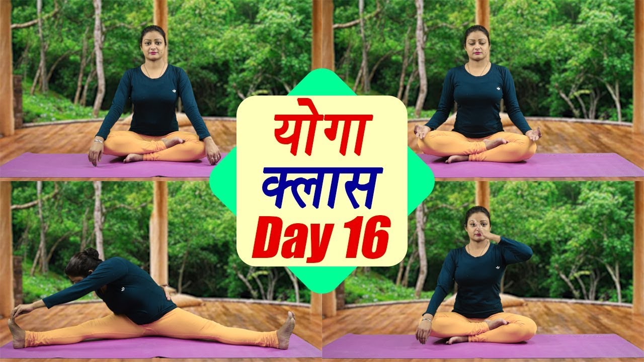 Yoga Class Day 16 | पक्षी आसन, प्राणायाम, चिन मुद्रा  for energy & stamina | 25 day course । Boldsky