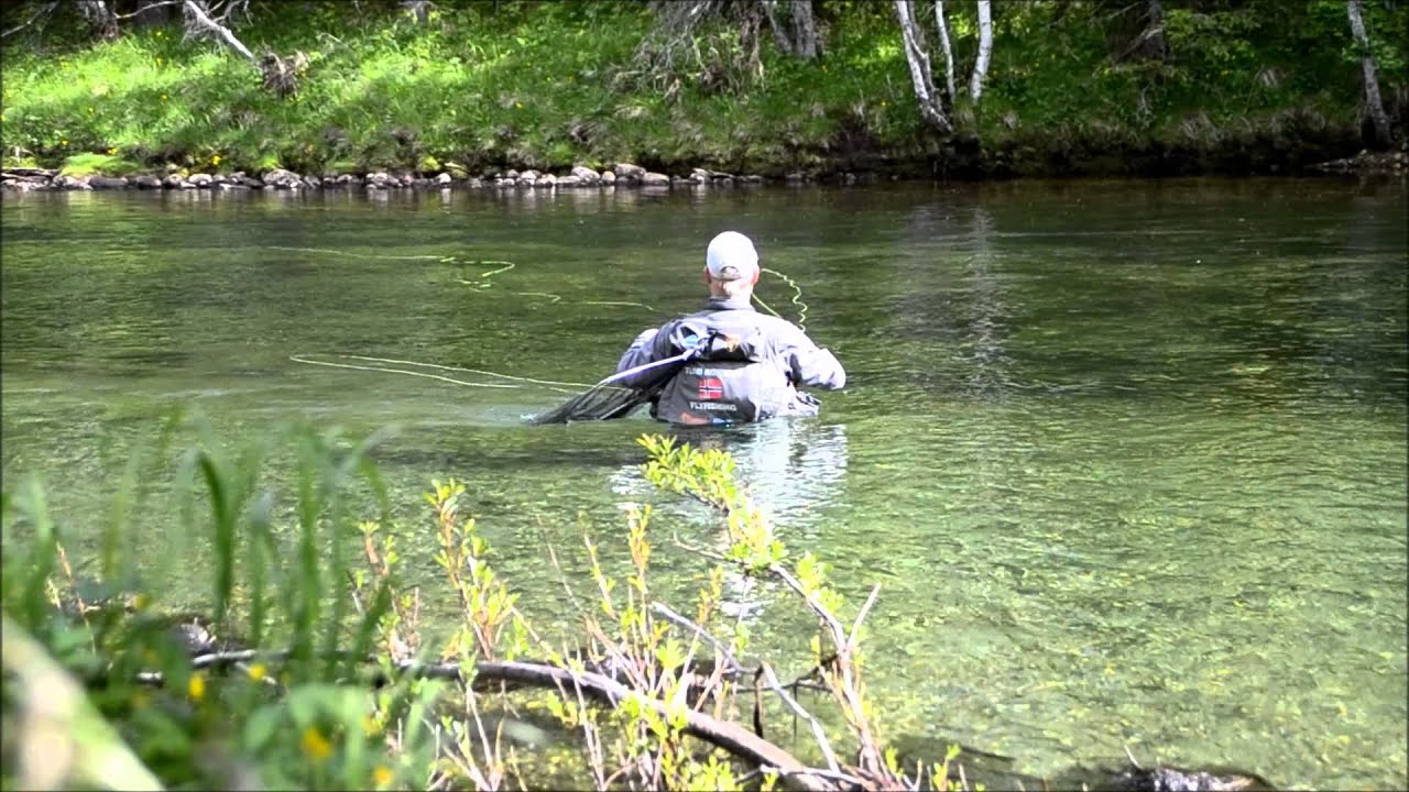 Hemsila trout rise - 2014