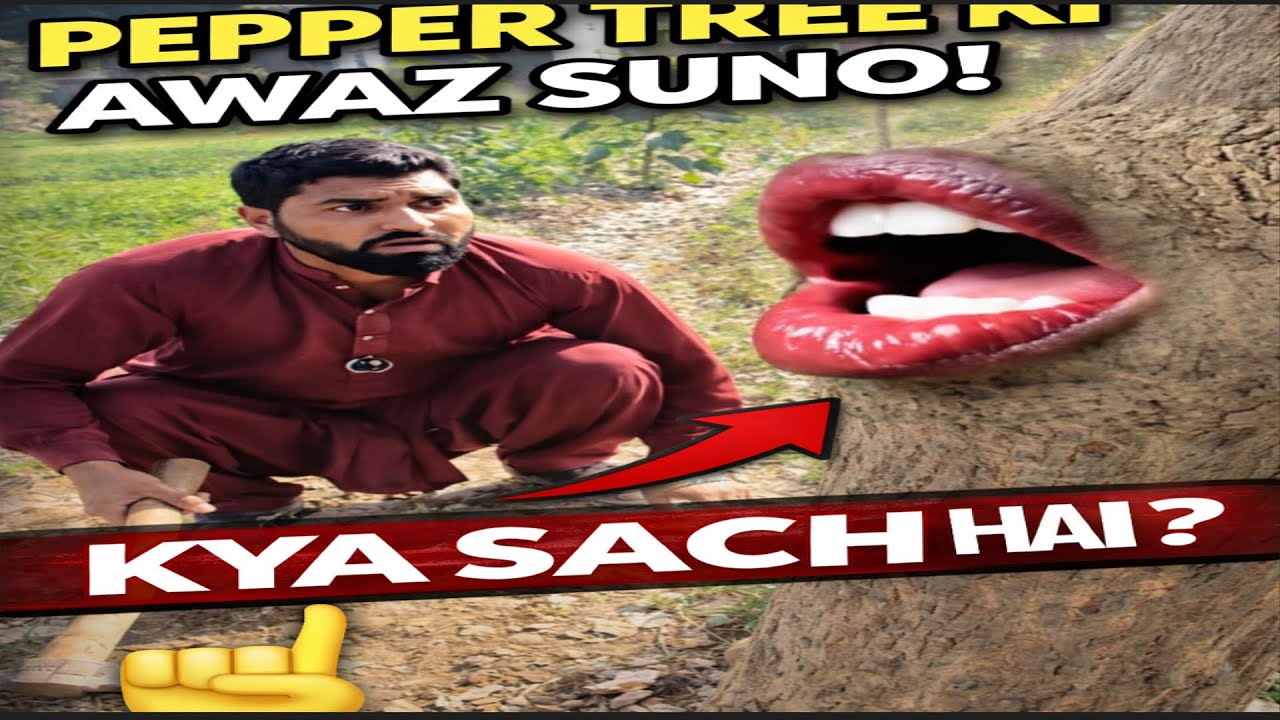 Darakht Bhi Bol Para 😱😂 Paise Chhor Kar Bhaag Gaye Log | Funny Escape Prank 2026