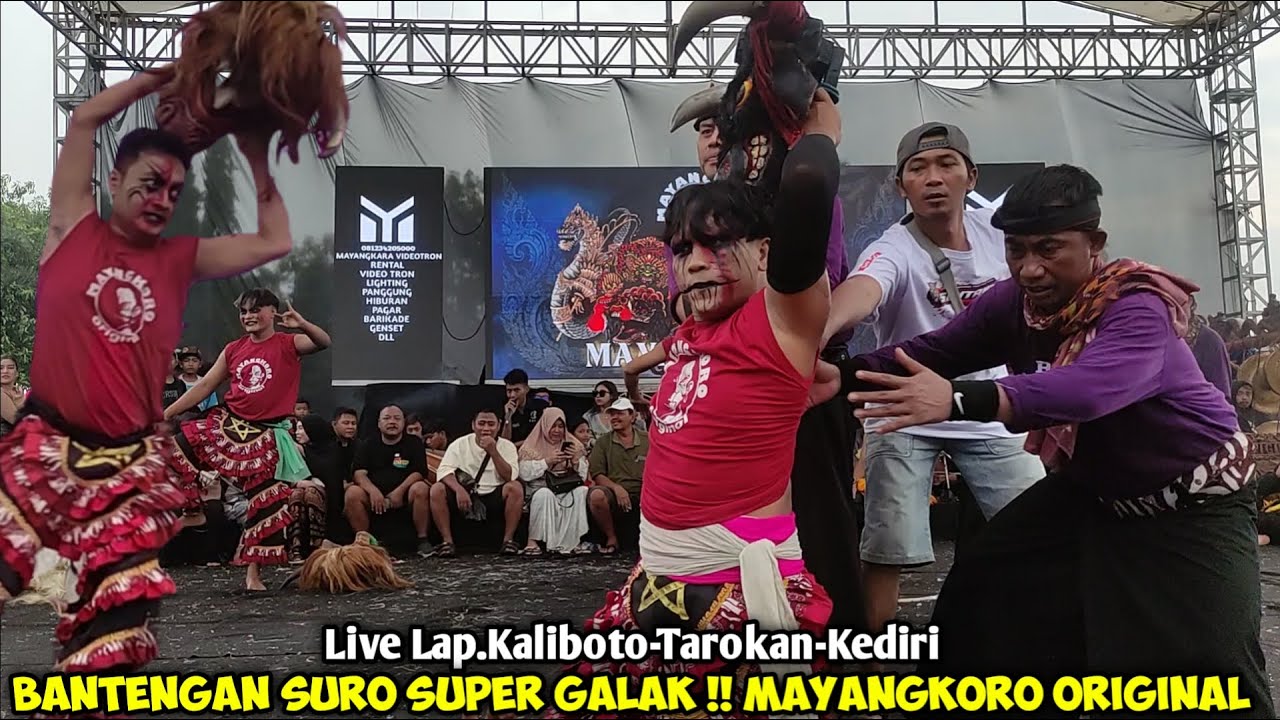 Bantengan Suro Galak Jaranan MAYANGKORO ORIGINAL Live Lapangan Kaliboto Tarokan Kediri