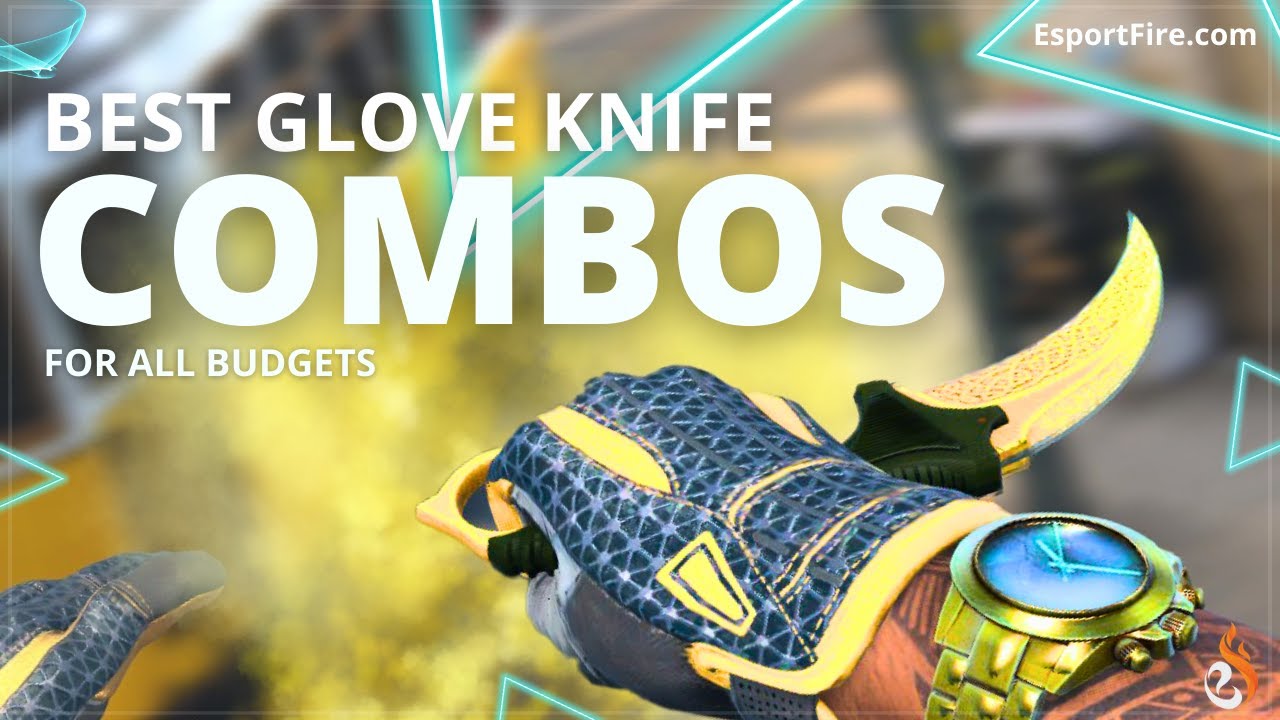 Best Glove Knife Combos for all budgets in CS2 - 2024