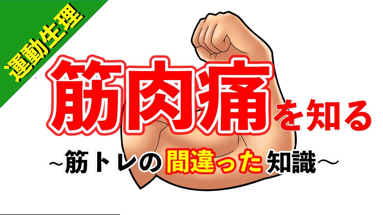 絶対に知っておくべき筋トレと筋肉痛の基礎知識【柔道整復師が教える運動生理学】【#60】