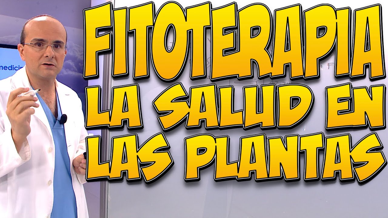 FITOTERAPIA, la SALUD en las PLANTAS (Endrino, Genciana, Hinojo, Anís verde, Belladona)