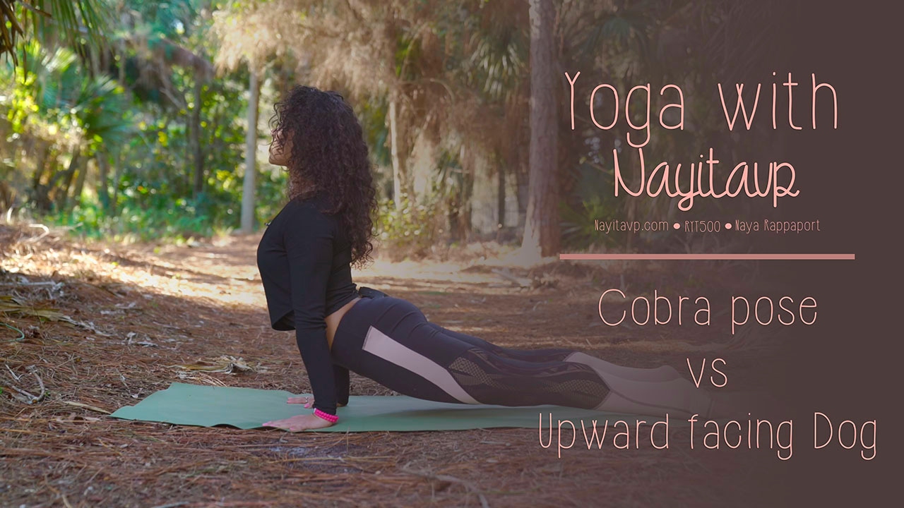 Cobra vs Upward Facing Dog