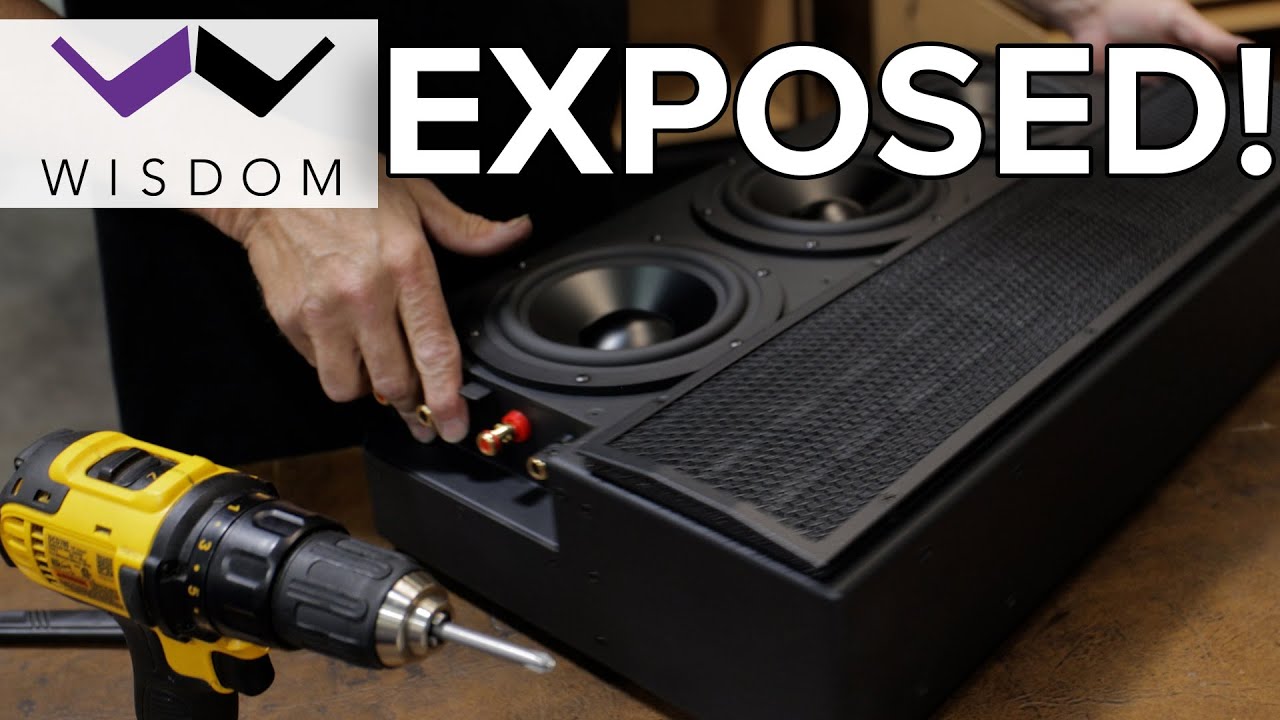 Unveiling the Secrets: Wisdom Audio Factory Tour