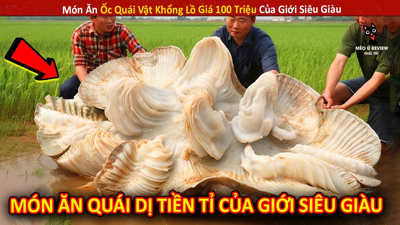 Món Ăn Ốc Quái Vật Khổng Lồ Giá 100 Triệu Của Giới Siêu Giàu || Review Giải Trí Đời Sống