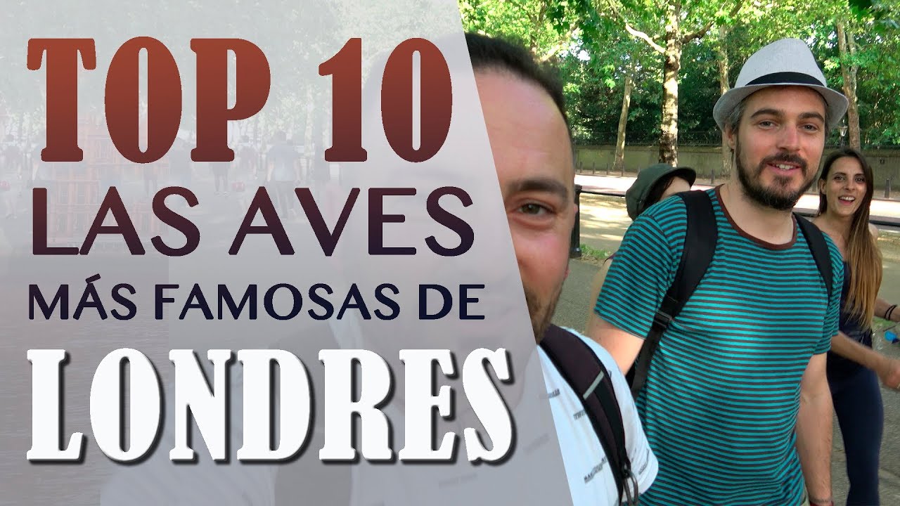 &iexcl;TOP 10 AVES M&Aacute;S FAMOSAS DE LONDRES!
