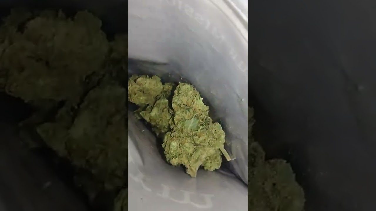 J1 Strain - The Pharm
