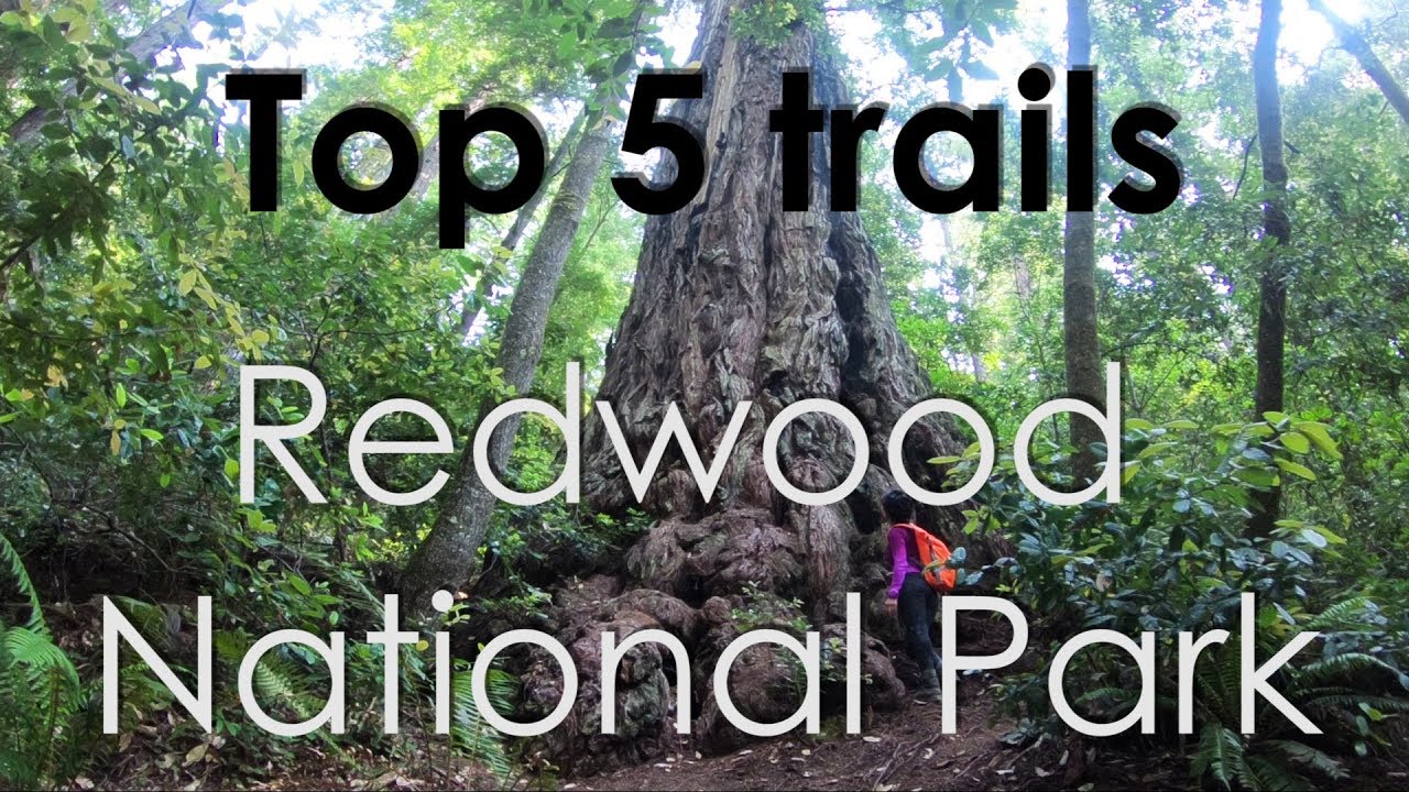 Top 5 Trails Redwood National Park, California ( GoPro HD)