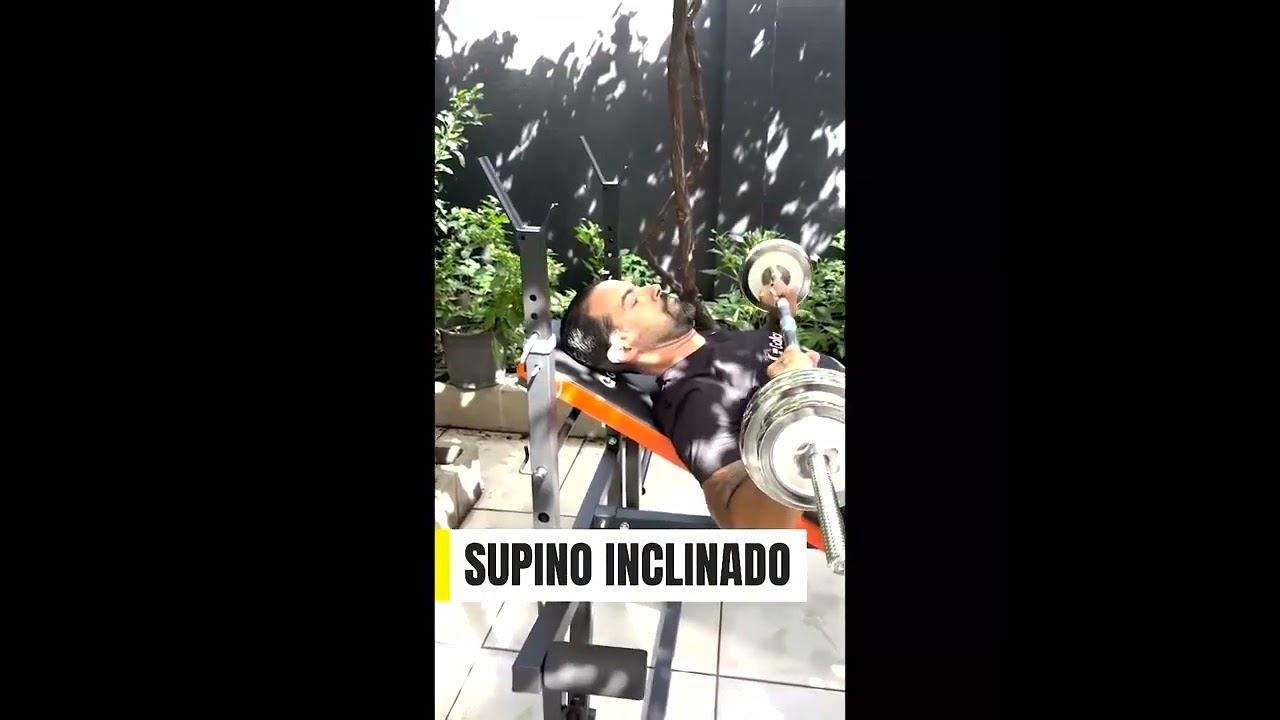 Esta&ccedil;&atilde;o de Muscula&ccedil;&atilde;o Banco de Supino Gallant Elite X. Receba at&eacute; R$58 de Cashback no Pix!