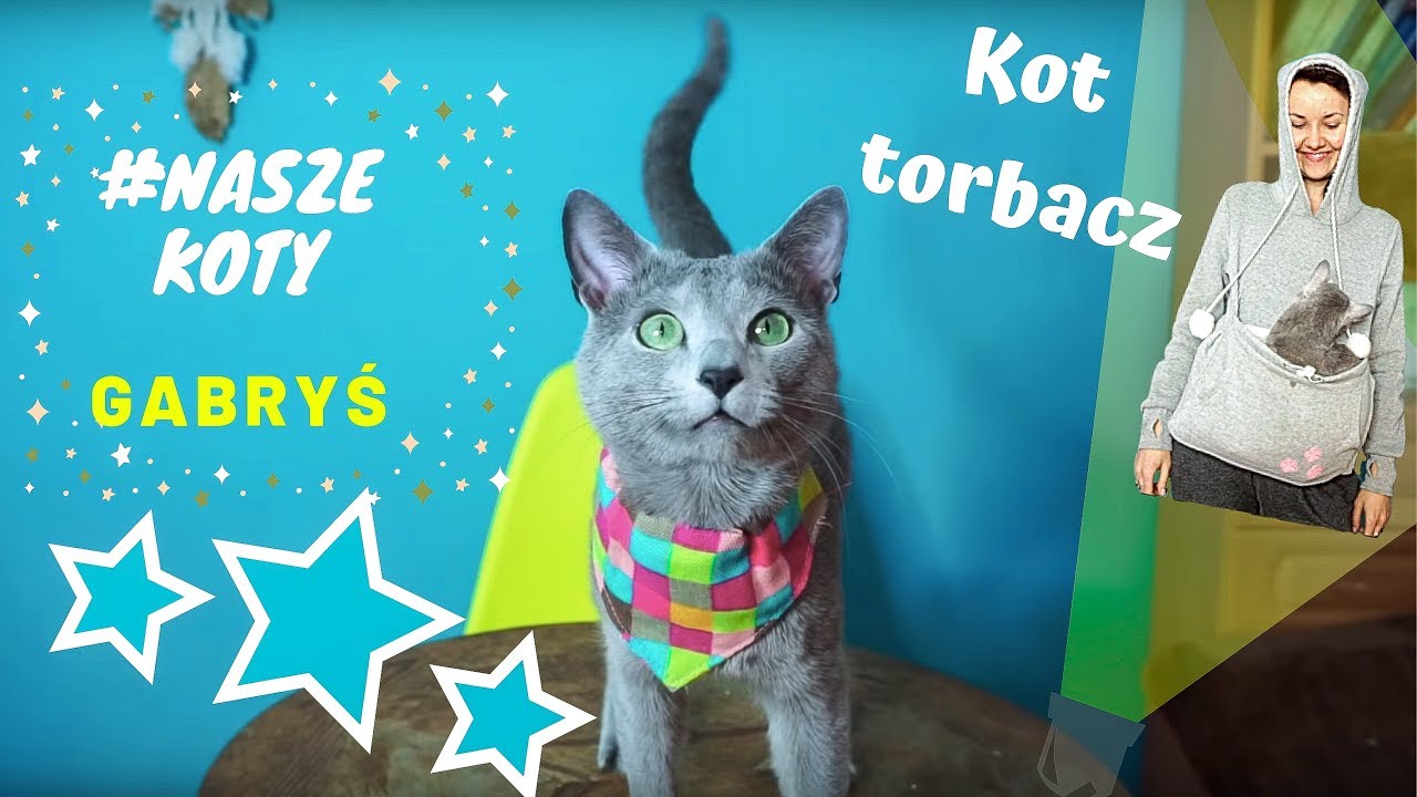 # NASZE KOTY - kot rosyjski - typ zabawny uwodziciel Gabryś