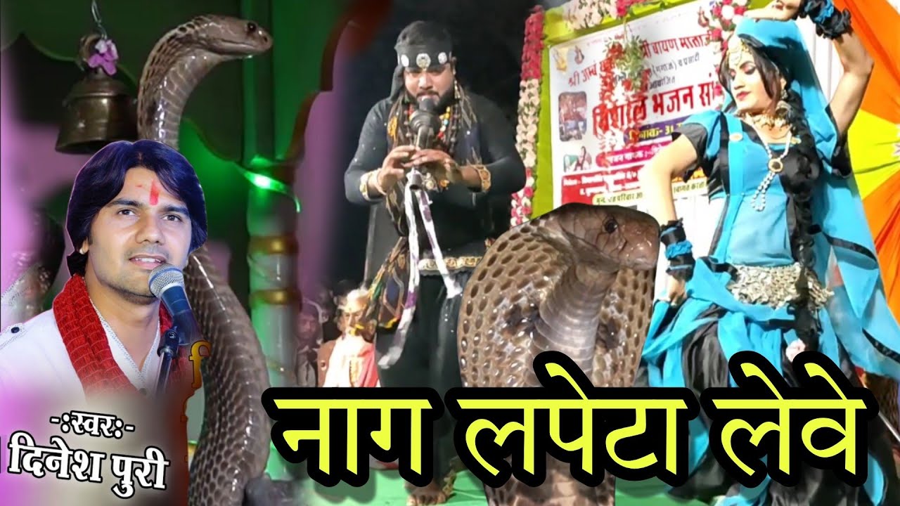 नाग लपेटा लेवे । Naag Lapeta Leve Rajasthani Song । Dinesh Puri ।Rajasthani Song । उसर लाइव