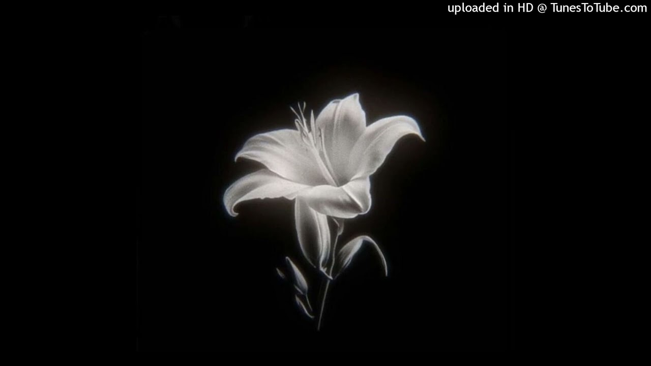 destroy lonely type beat 