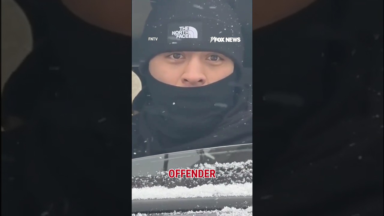 WATCH: ICE agent SCOLDS agitator for disrupting arrest of child sex offender #foxnews #news