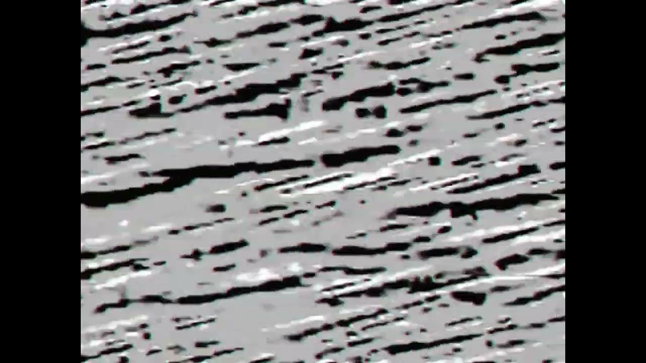 elimane - lucid white
