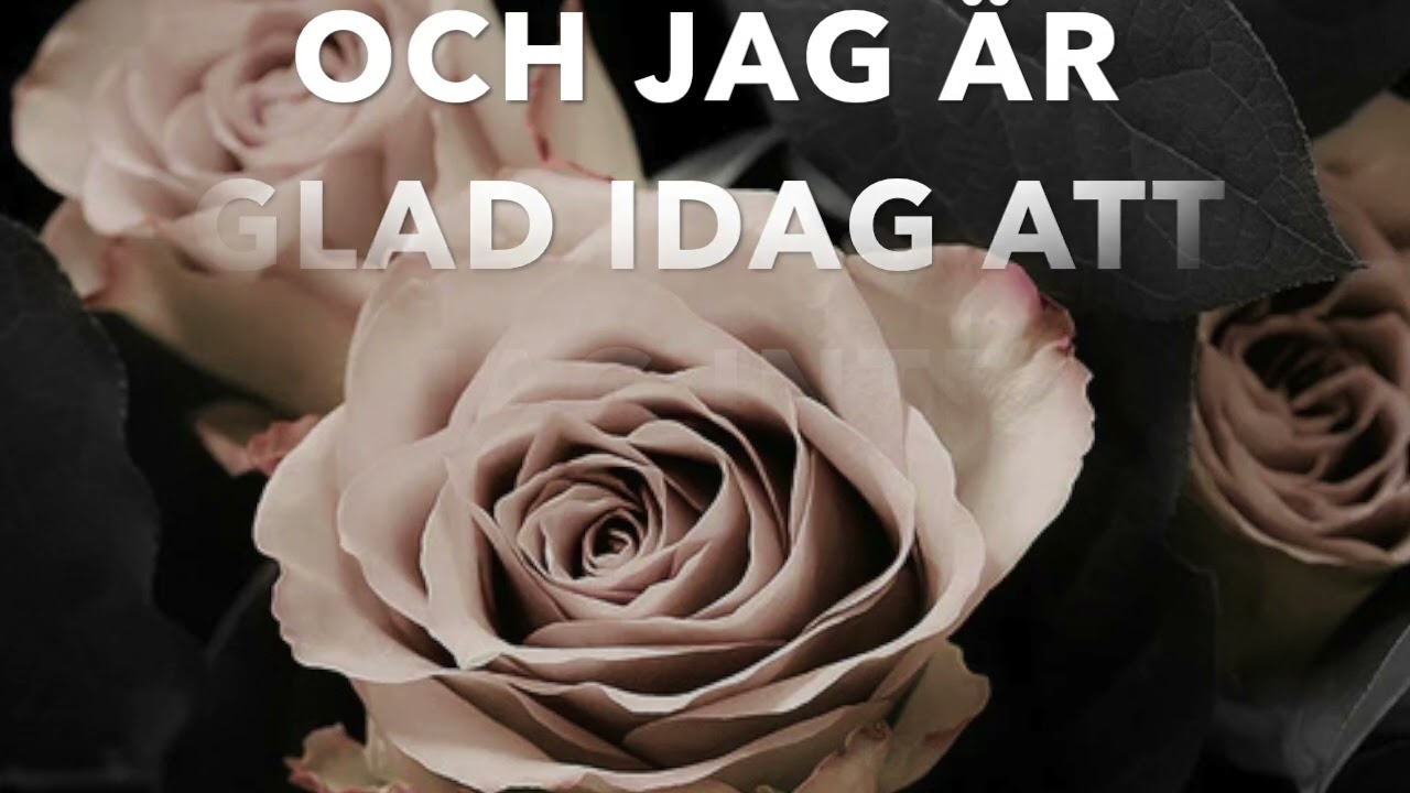 Lizen det är så jag känner nu (LYRICS)