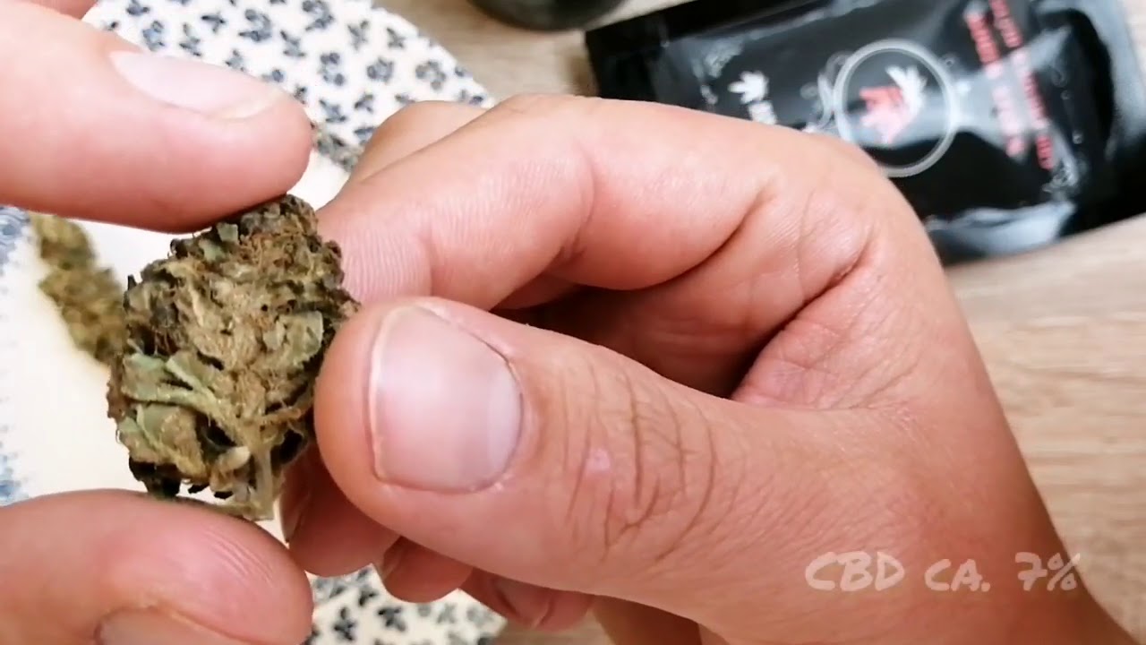 CBD Bio Bl&uuml;ten White Widow Indoor | CBD Organic Buds White Widow Indoor