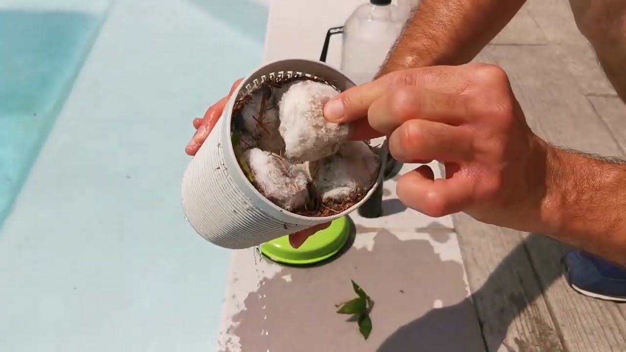 🌟 Astuce économique : comment retirer le sable du Sahara de votre piscine ! 🌟