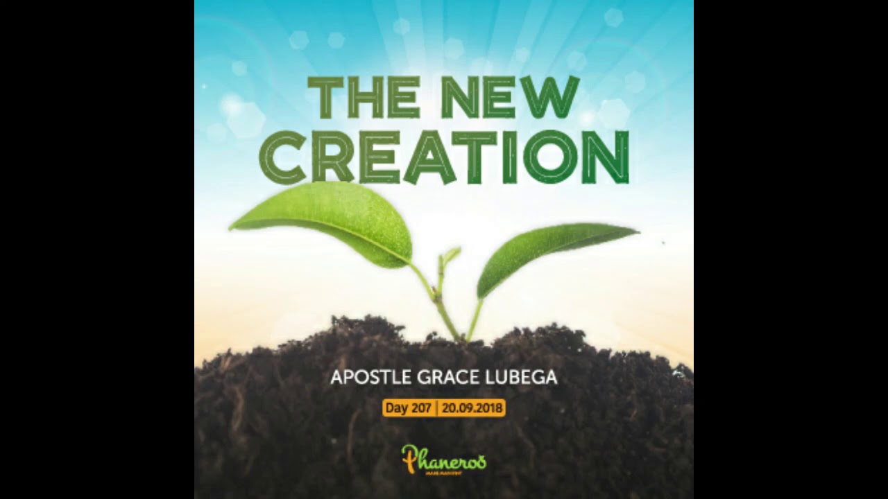 The New Creation - Faith Series #3