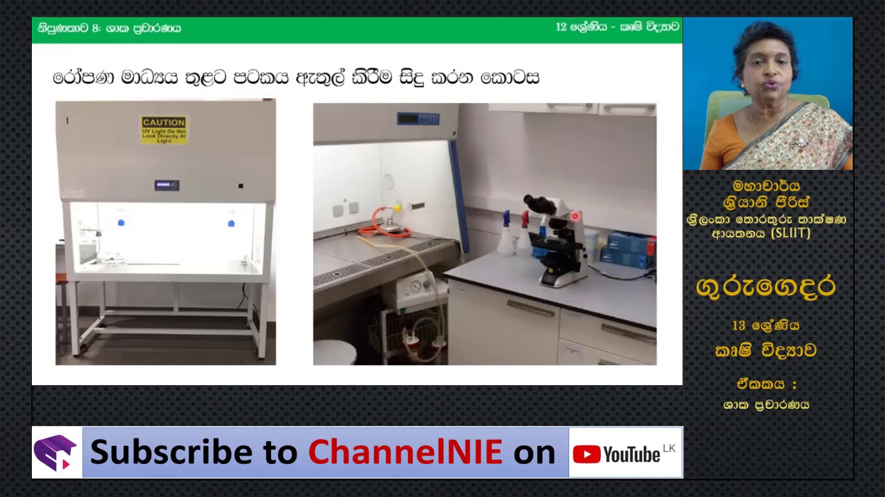 ශාක ප්‍රචාරණය - R 19 (L17) -A/L  Agriculture (කෘෂි විද්‍යාව)
