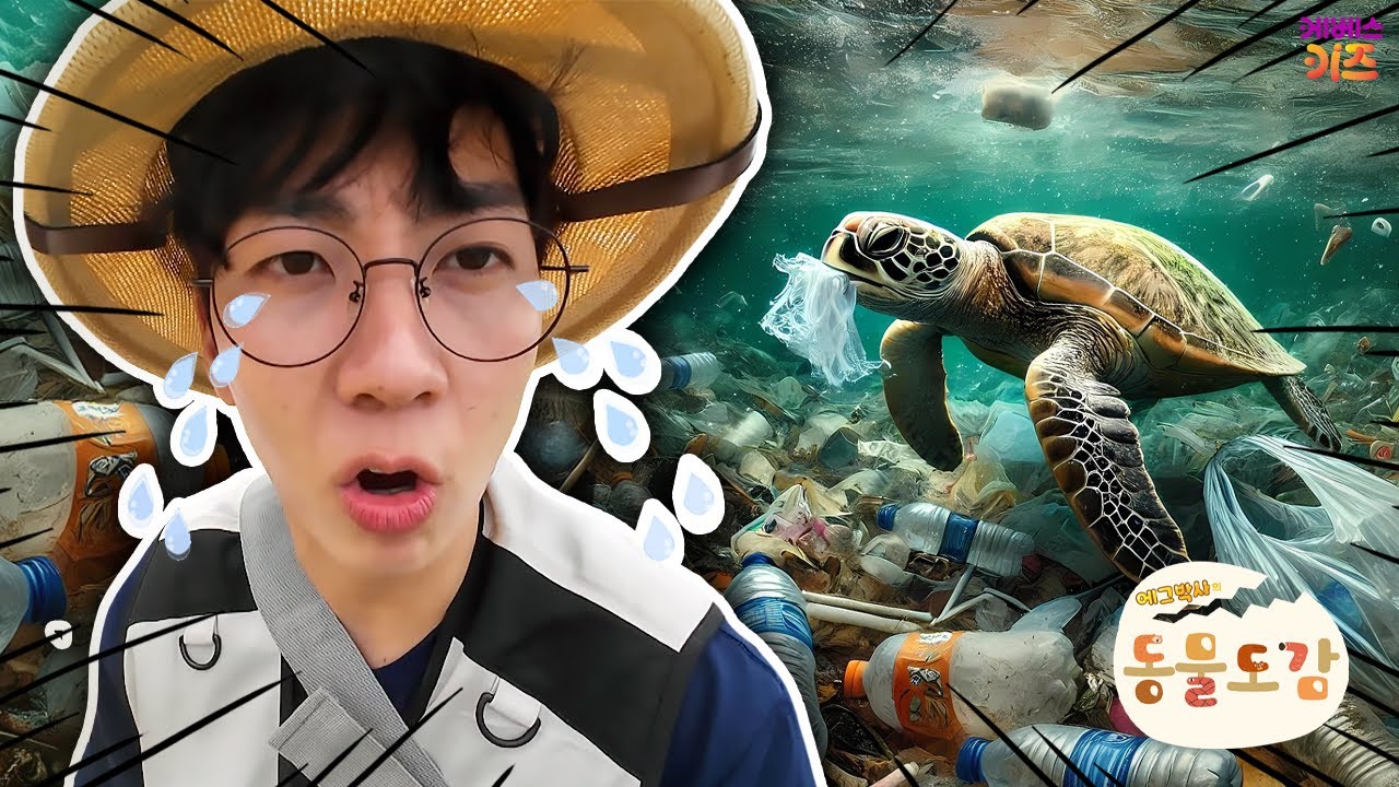 쓰레기로 뒤덮인 바닷가! 바다거북이 아파요ㅣ위기의 바다거북ㅣ에그박사의 동물 도감ㅣKBS 250731 방송